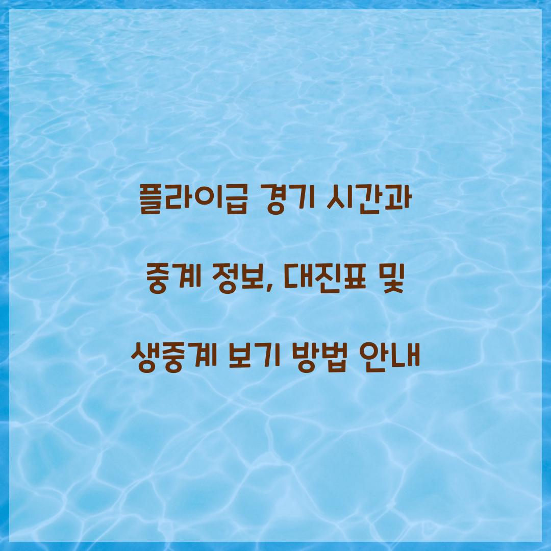 플라이급 경기 시간