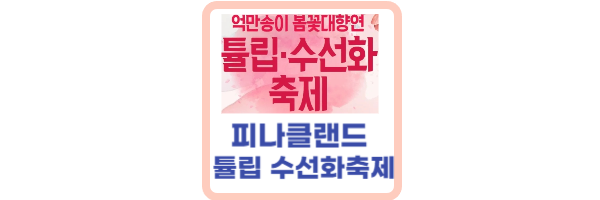 피나클랜드-튤립-축제