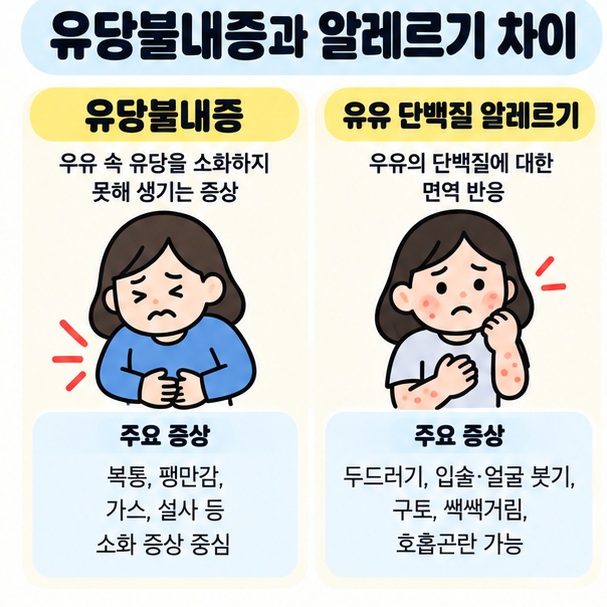 유당불내증의 복통과 가스, 설사 증상과 우유 알레르기의 두드러기, 부종, 호흡곤란 가능성을 비교한 카드