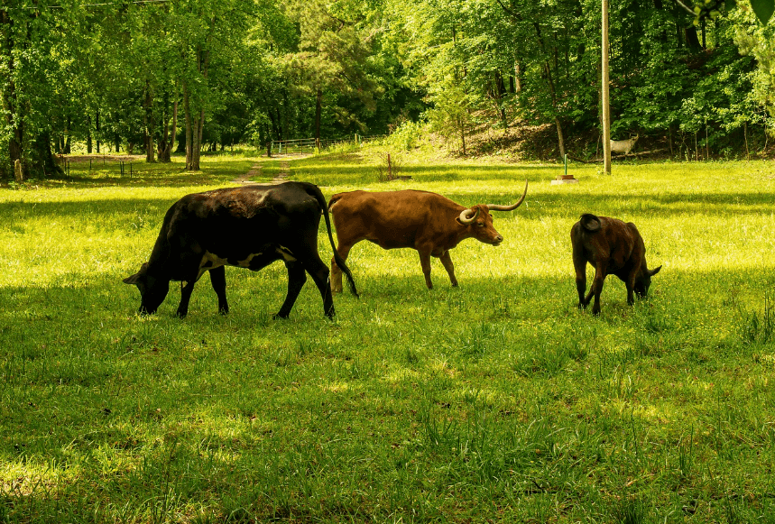 탄소중립포인트제 가입하면 혜택이 관련사진