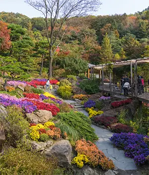 화담숲 테마별 사진