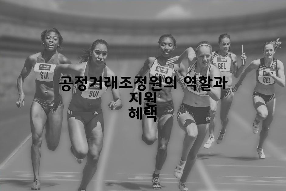 공정거래조정원의 역할과 지원 혜택
