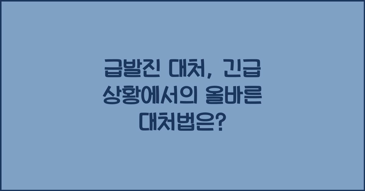 급발진 대처