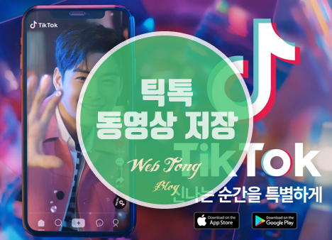 틱톡 동영상 저장