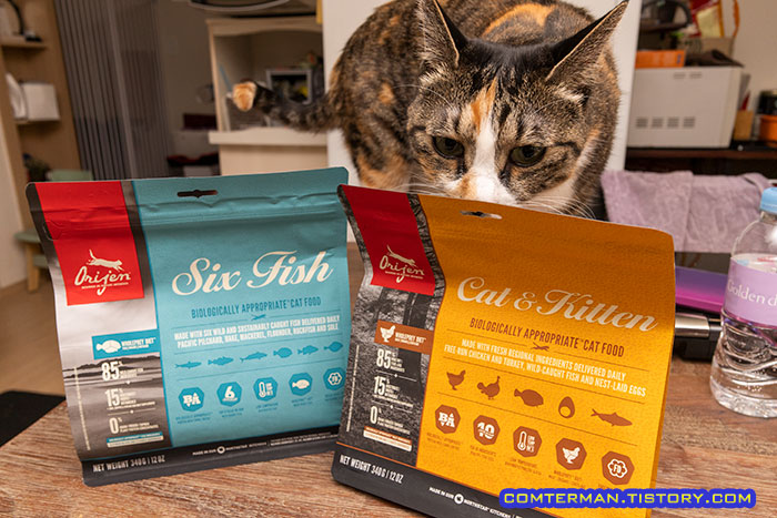 오리젠 식스피쉬 캣앤키튼 340g