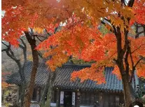 강화 전등사
