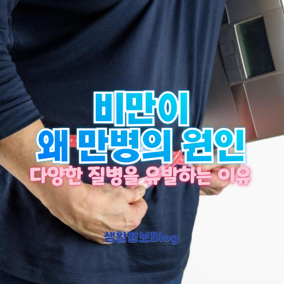 비만이 만병의 원인