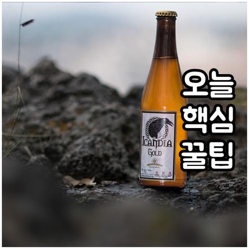 2025 광진구 입양가정 100만원 ..