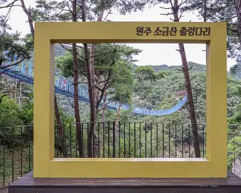 소금산 출렁다리_2