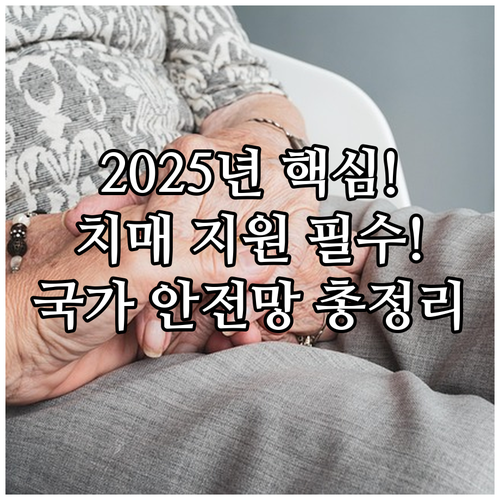 2025년 치매 국가 안전망 1899..
