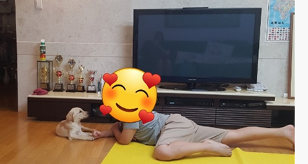 강아지가 집으로온 날