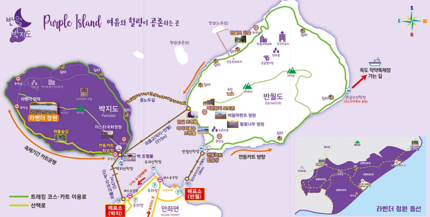 2025 퍼플섬 라벤더 축제