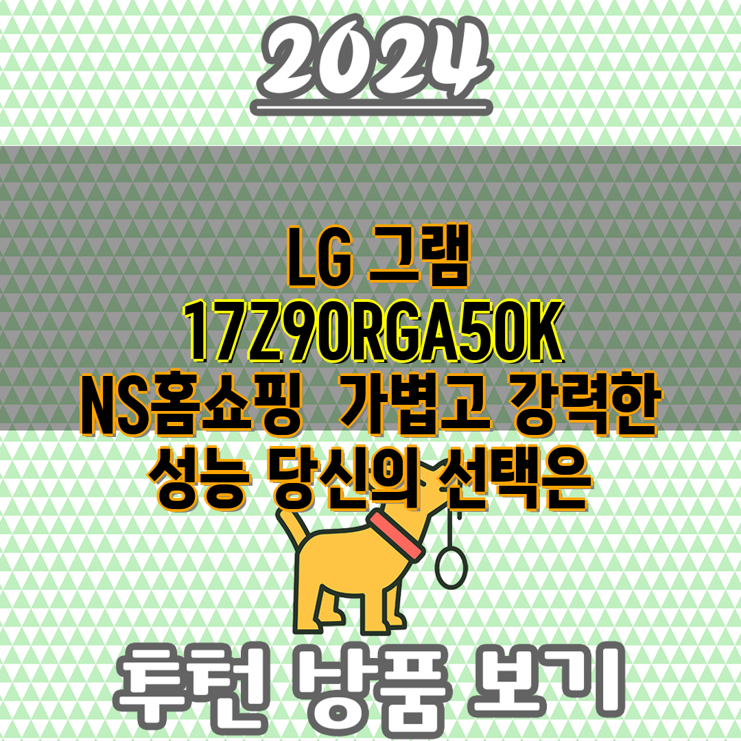  LG 그램 17Z90RGA50K NS홈쇼핑  가볍고 