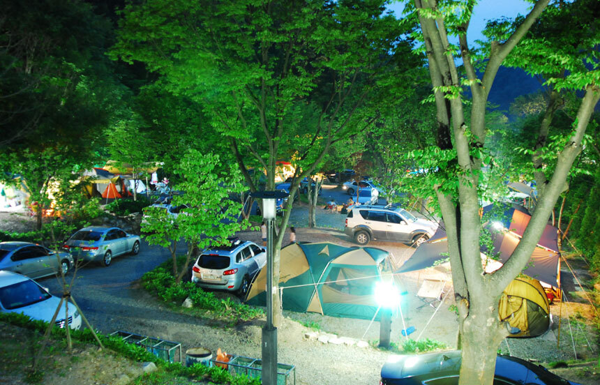 ํก์ฑ ์์ฐํด์๋ฆผ ์บ ํ์ฅ ์ฃผ๋ณ ๋ง์ง ์นดํ ๋งํธ ์์ฅ ํน์ฐ๋ฌผ ๊ฐ์์ง ๋๋ฐ ์ ๋ณด