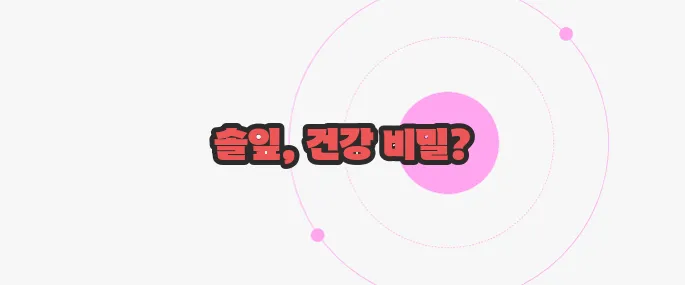 솔잎 효능 한 번 정리해볼까요