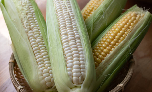 옥수수 수염차 효능