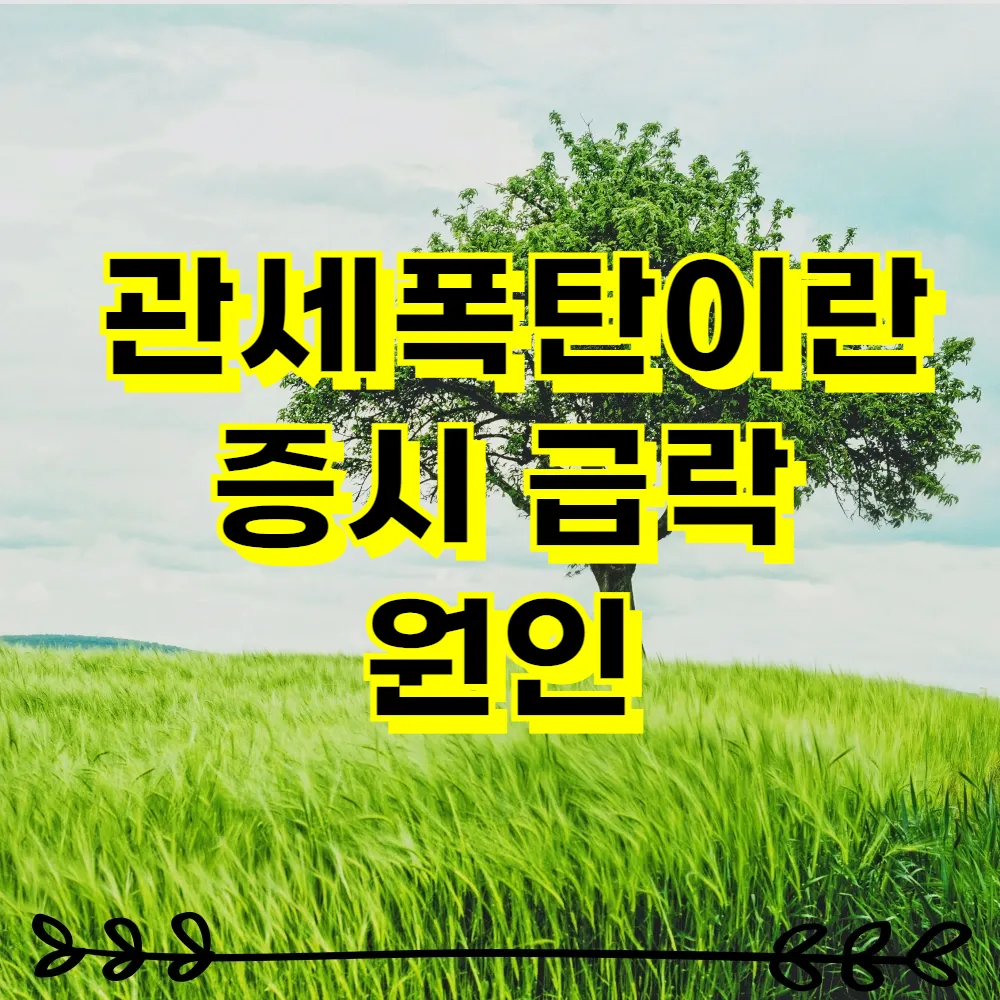 관세폭탄이란 증시 급락 원인