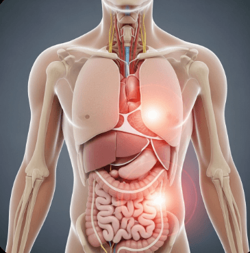척추 측만증 증상과 원인 완벽 정리8