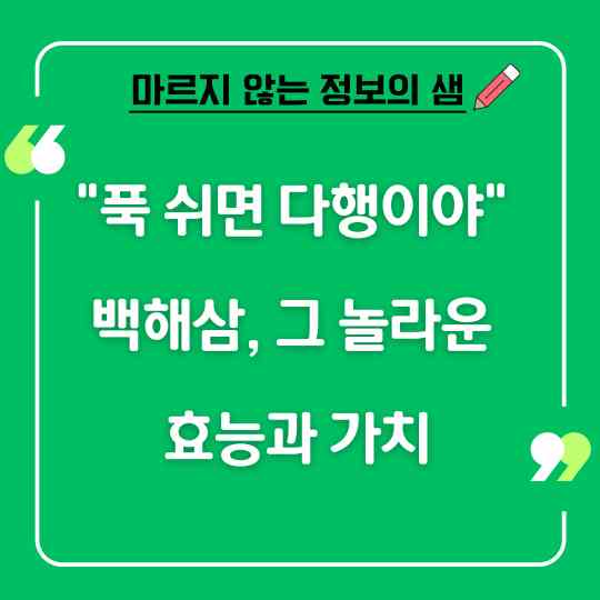 &quot;푹 쉬면 다행이야&quot; 백해삼