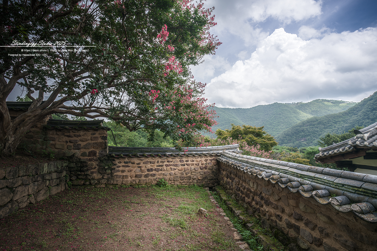 #안동 #서원 #유학 #병산서원 #배롱꽃