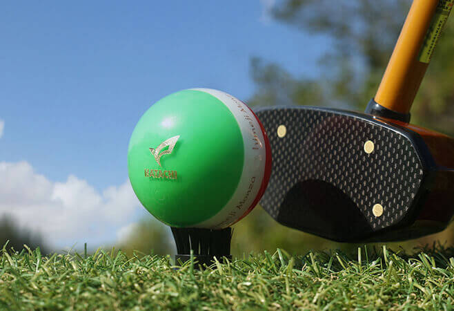 파크골프 클럽과 파크골프 공