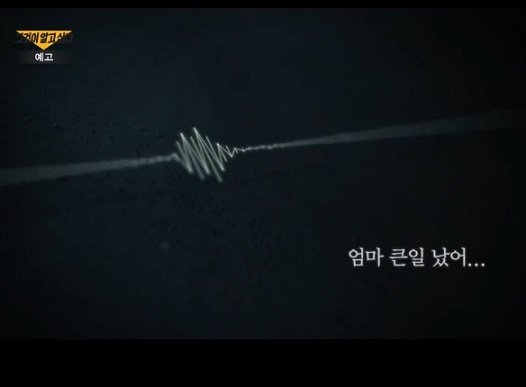 보이스피싱