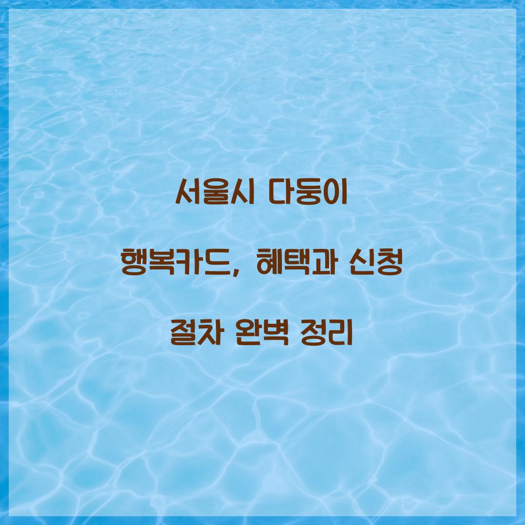 서울시 다둥이 행복카드