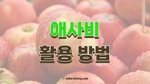 애사비 활용 방법