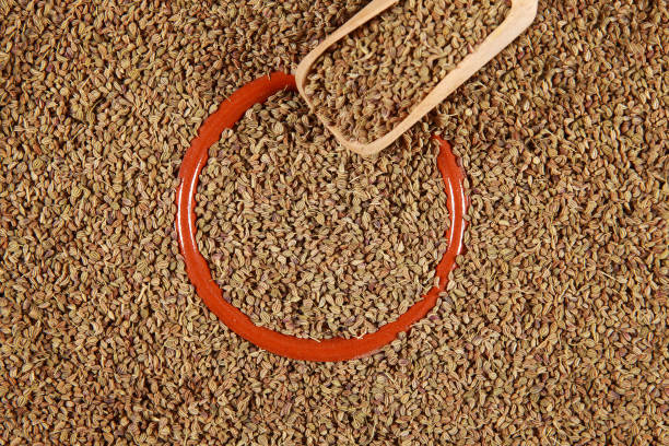 티몰(thymol) 효능