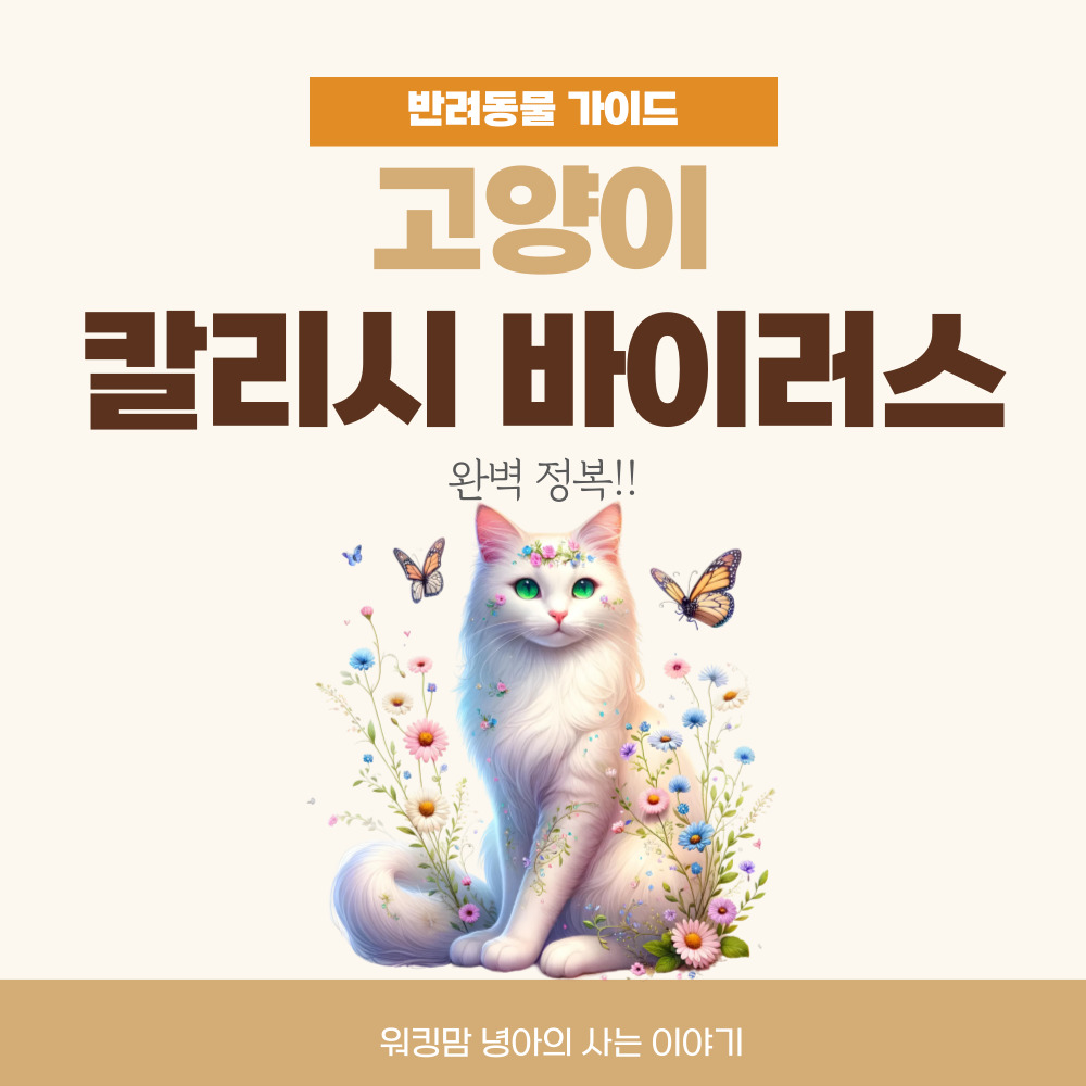 고양이-칼리시-바이러스-포스팅-대문이미지