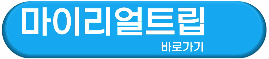 마이리얼트립 국제선 자동 변경하는 방법