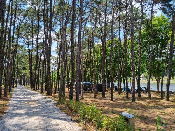 송호캠핑장 A구역