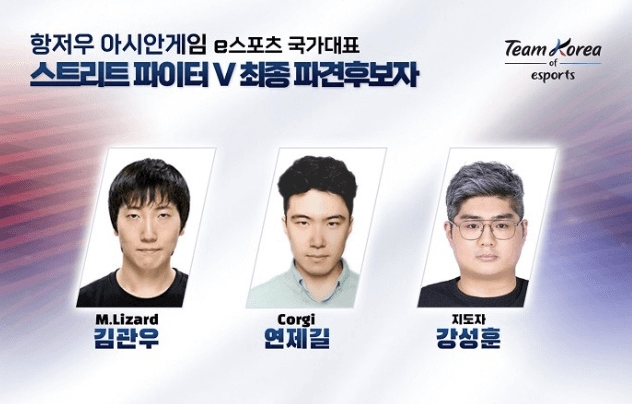 스트리트파이터 V 대표팀