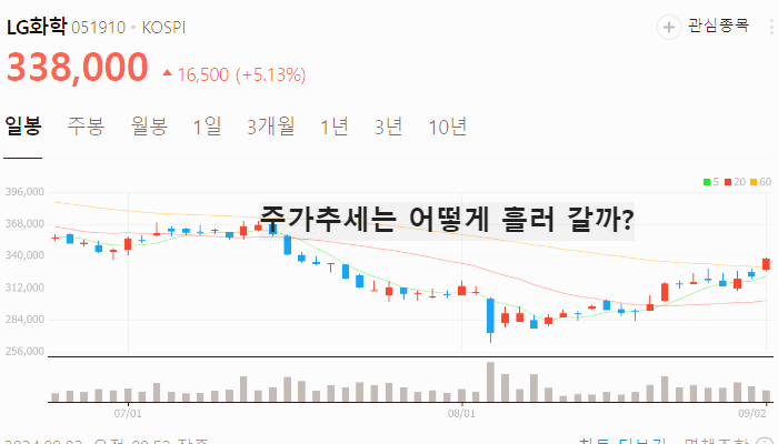 위고비 관련주 대장주 TOP10