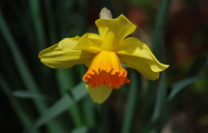 입춘 인사말 이미지 뜻 2026년 입춘시