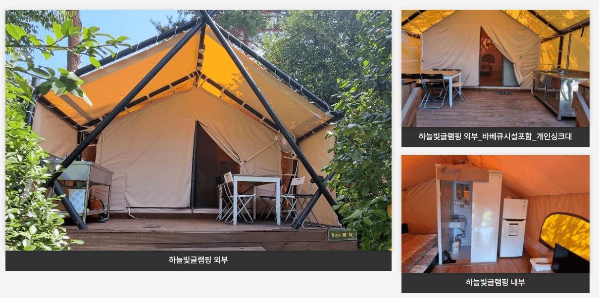 장흥 하늘빛수목정원 튤립축제