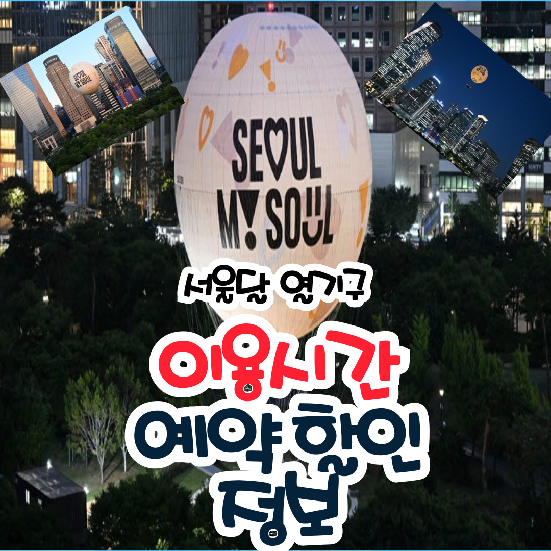 서울달 열기구 정보