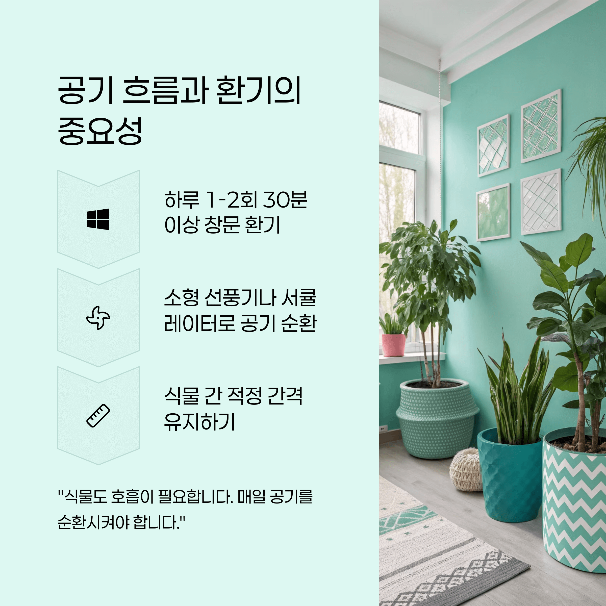 반려식물