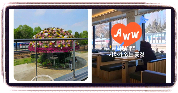 생생정보 교통카드면충분해 디저트카페 후기