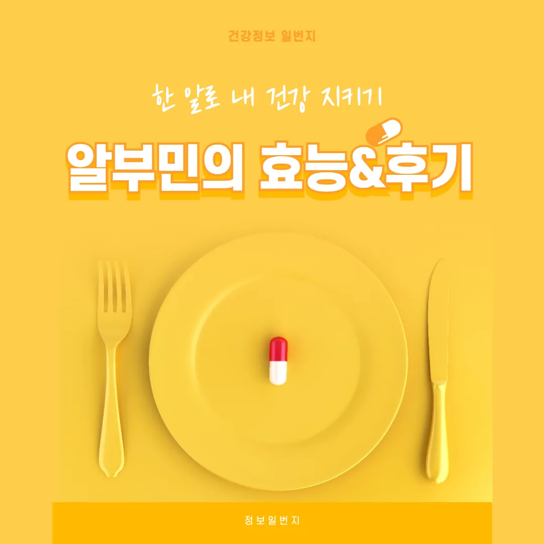 알부민-효능-효과-영양제-피로-후기-변화