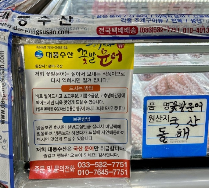 꽃발문어-한국기행