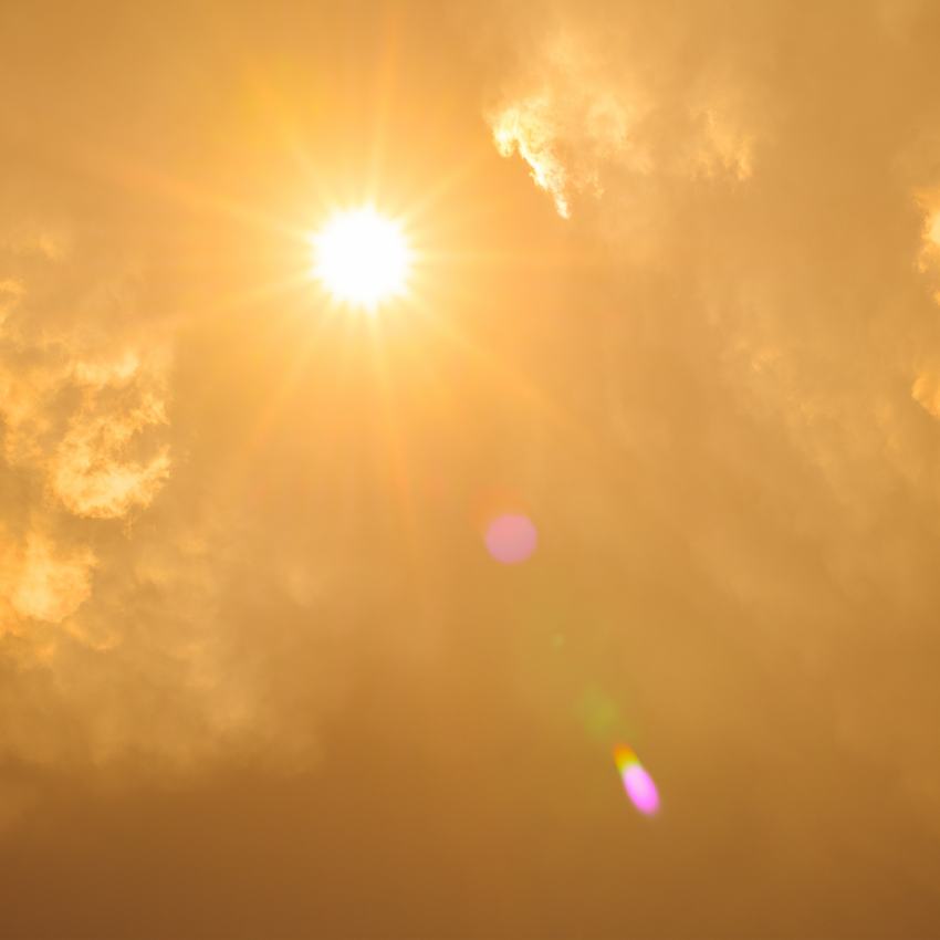 폭염주의보 발령_29