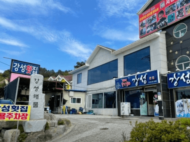 생방송투데이 자연산 멍게 한상