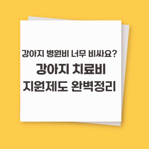 강아지 병원비 너무 비싸요? 2025년 치료비 지원제도 완벽정리
