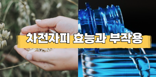 차전자피 효능 및 부작용 총정리! (먹는 방법,하루 권장량)