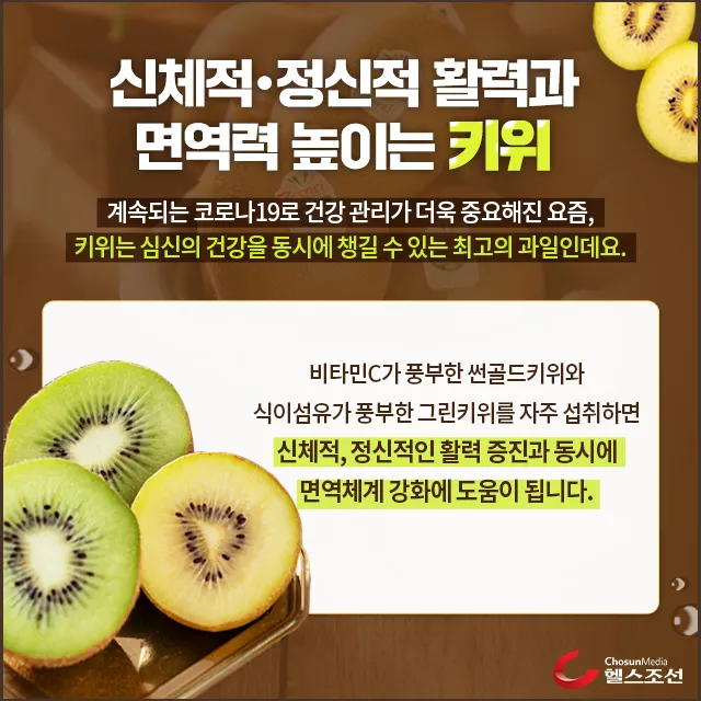 키위 효능과 부작용 비타민 풍부한 과일 정보_4