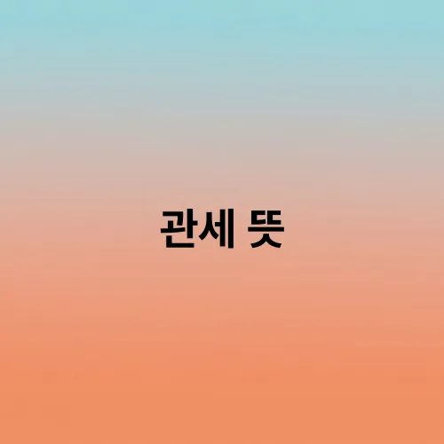 관세 뜻