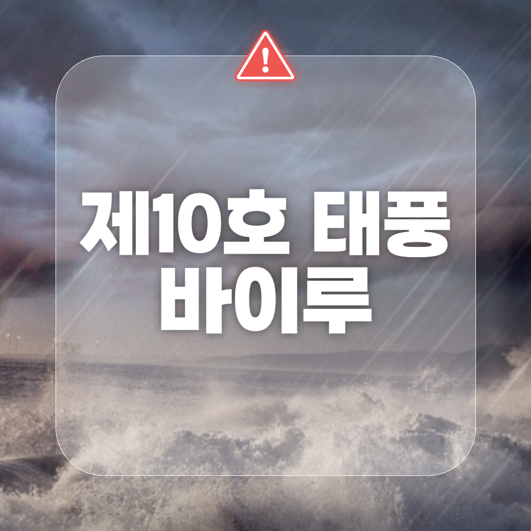 제10호태풍_바이루