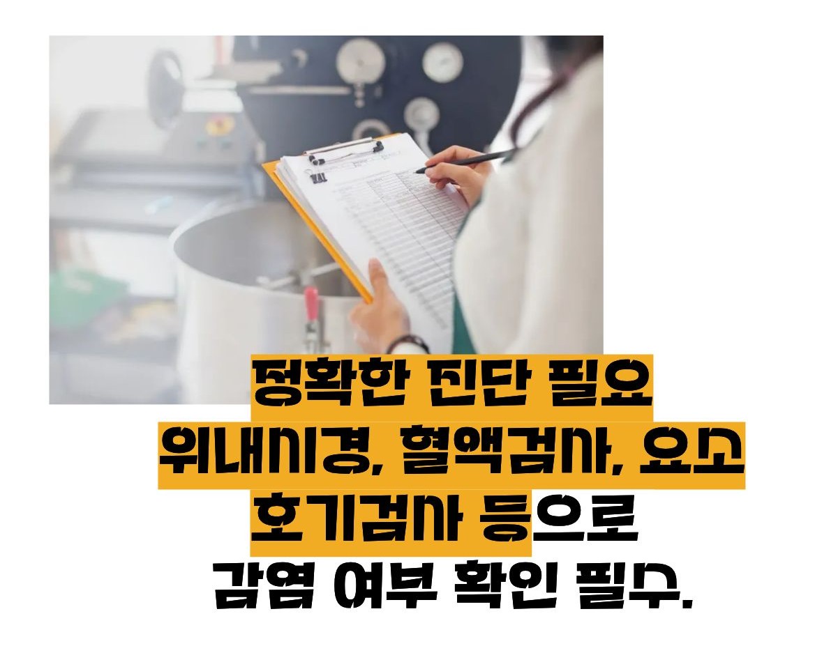 헬리코박터균 제균치료