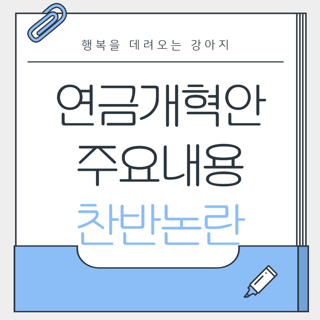 연금 개혁안 주요내용